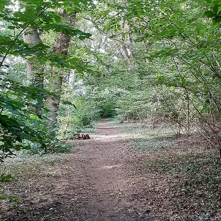 Séjour à la campagne Haramara *