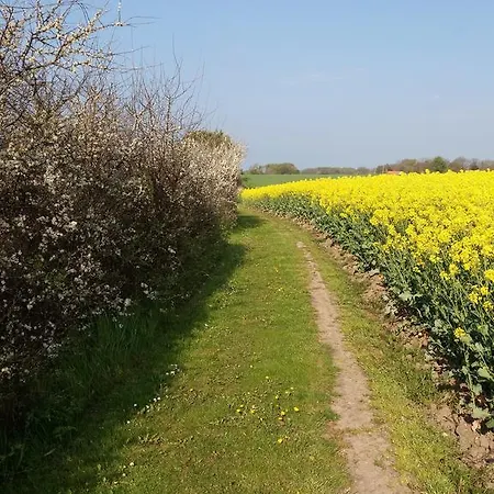 乡村民宿 Haramara