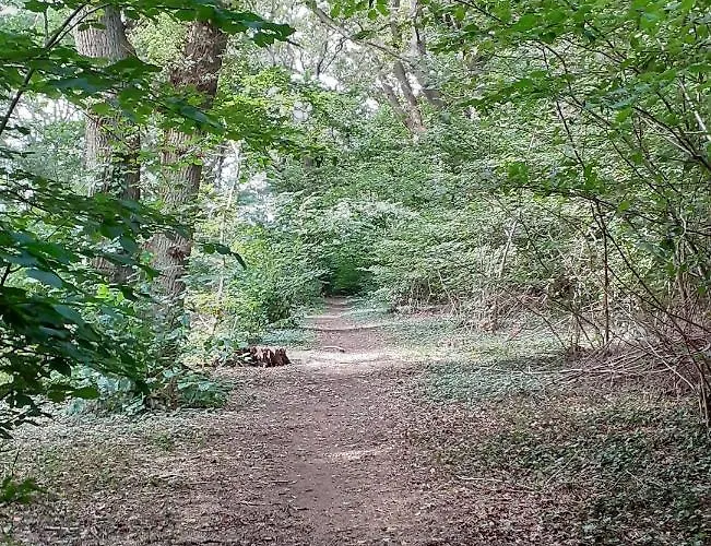 Venkovský dům Haramara *