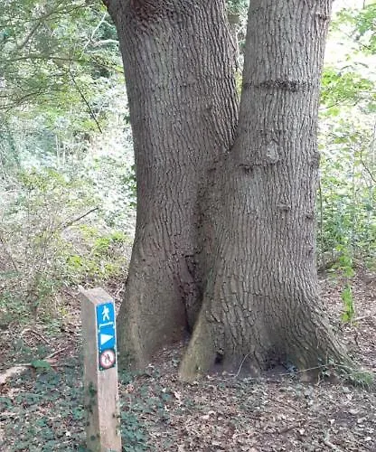 Haramara * Vester-Skerninge